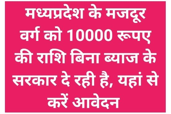 Chief Minister Rural Street Vendor Loan Scheme